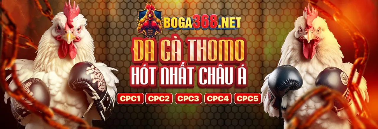 Đá Gà yeu88 bet - Trải nghiệm cá cược đỉnh cao